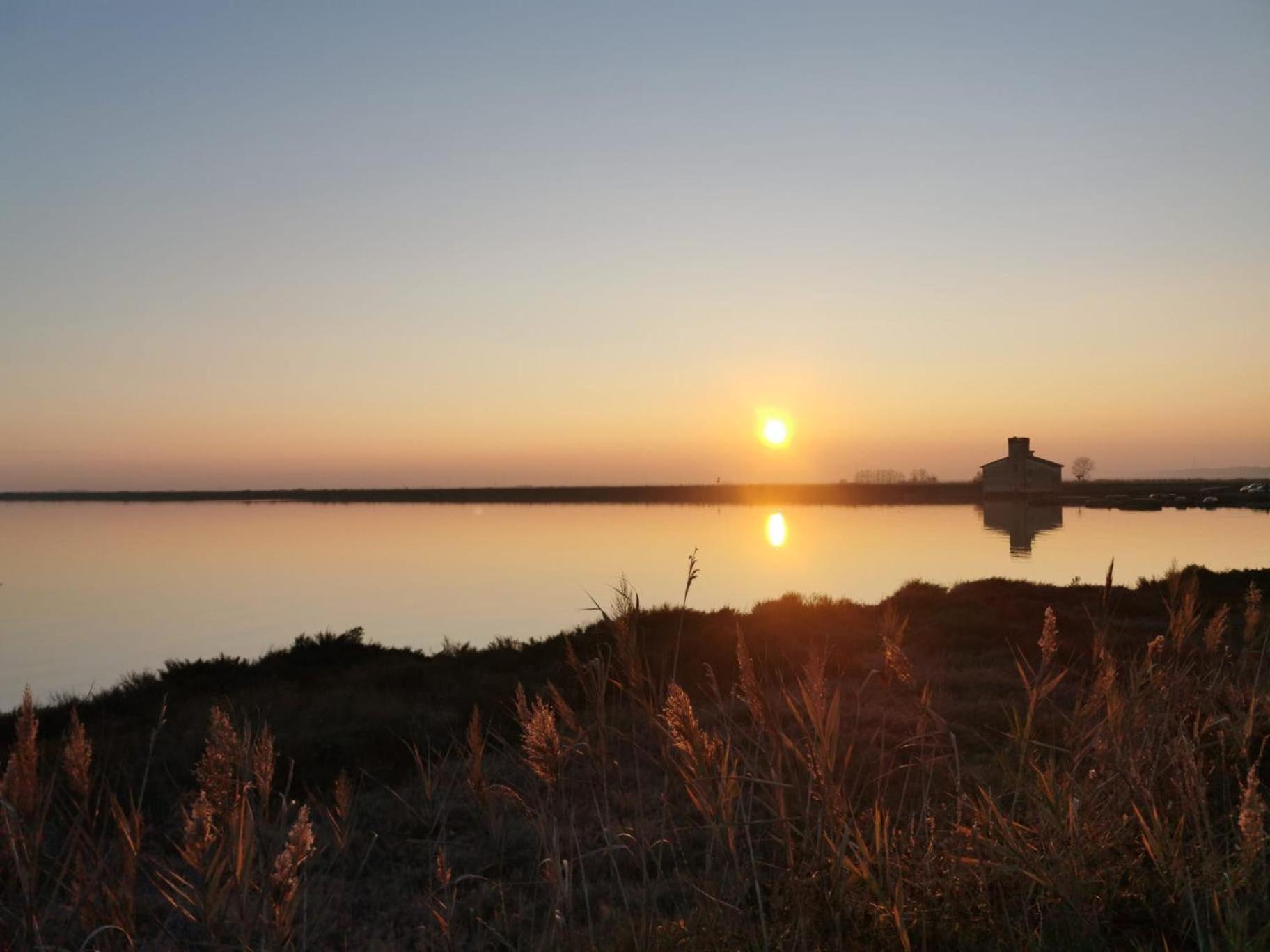 Comacchio Experience - Ospitalita Diffusa Lido di Pomposa Kültér fotó